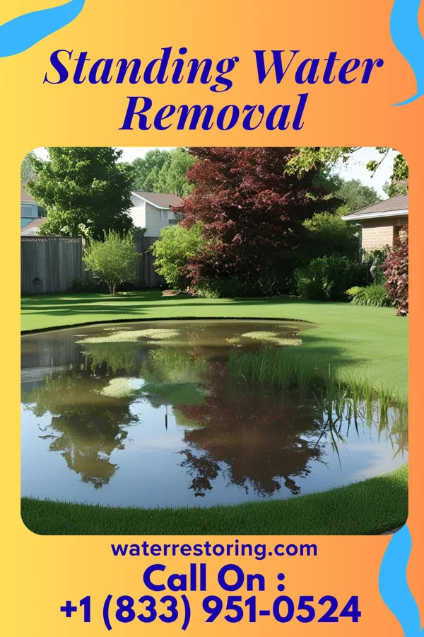 Standing Water Removal in Groveton, NH